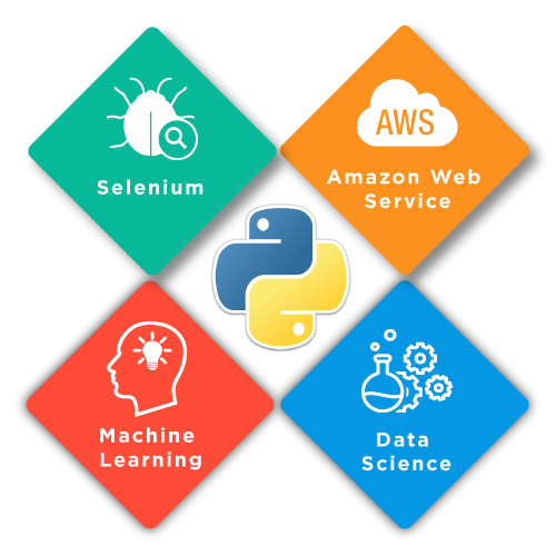 Python Back-End Development